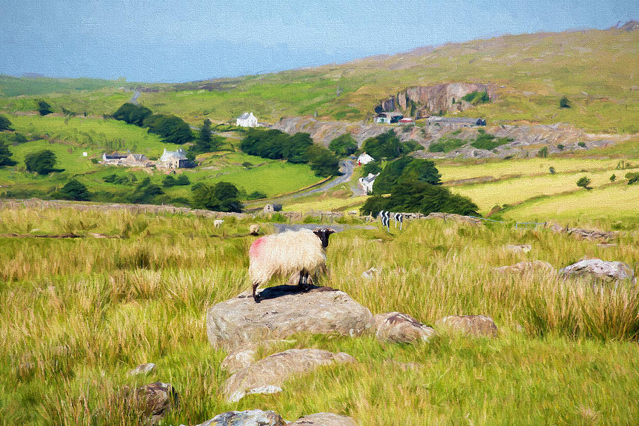 English Countryside With Sheep On A Rock Near Merrivale Dartmoor Devon