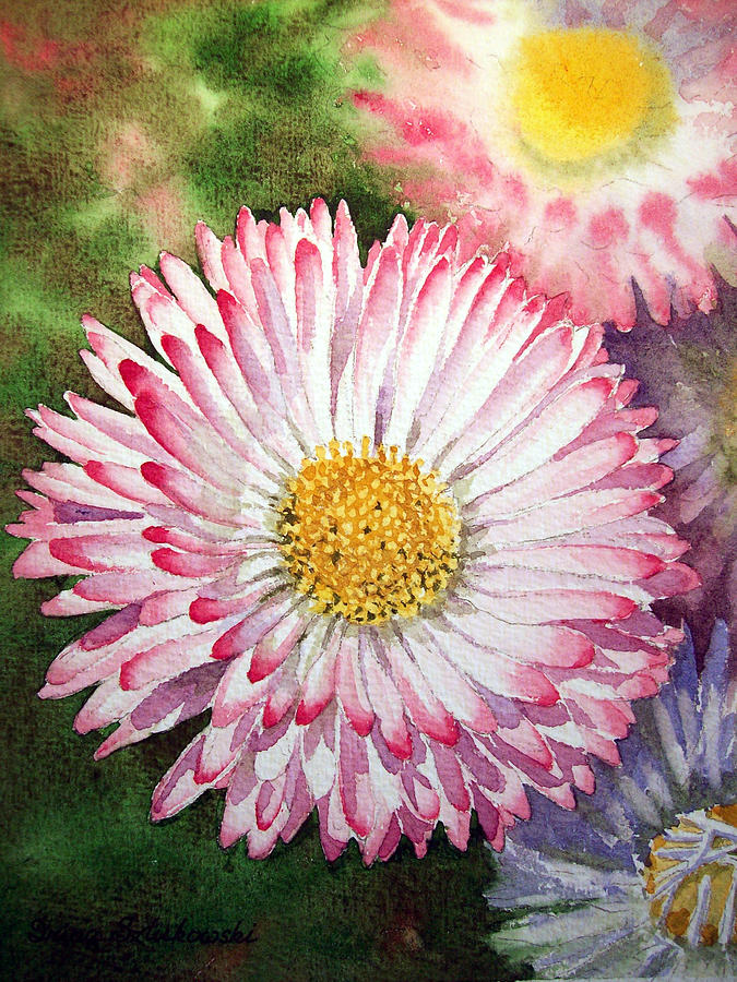 Flower Painting - English Daisies  by Irina Sztukowski