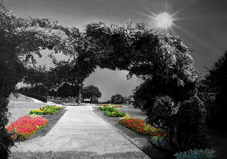English Garden in Black and White Digital Art by Michelangelo Rossi