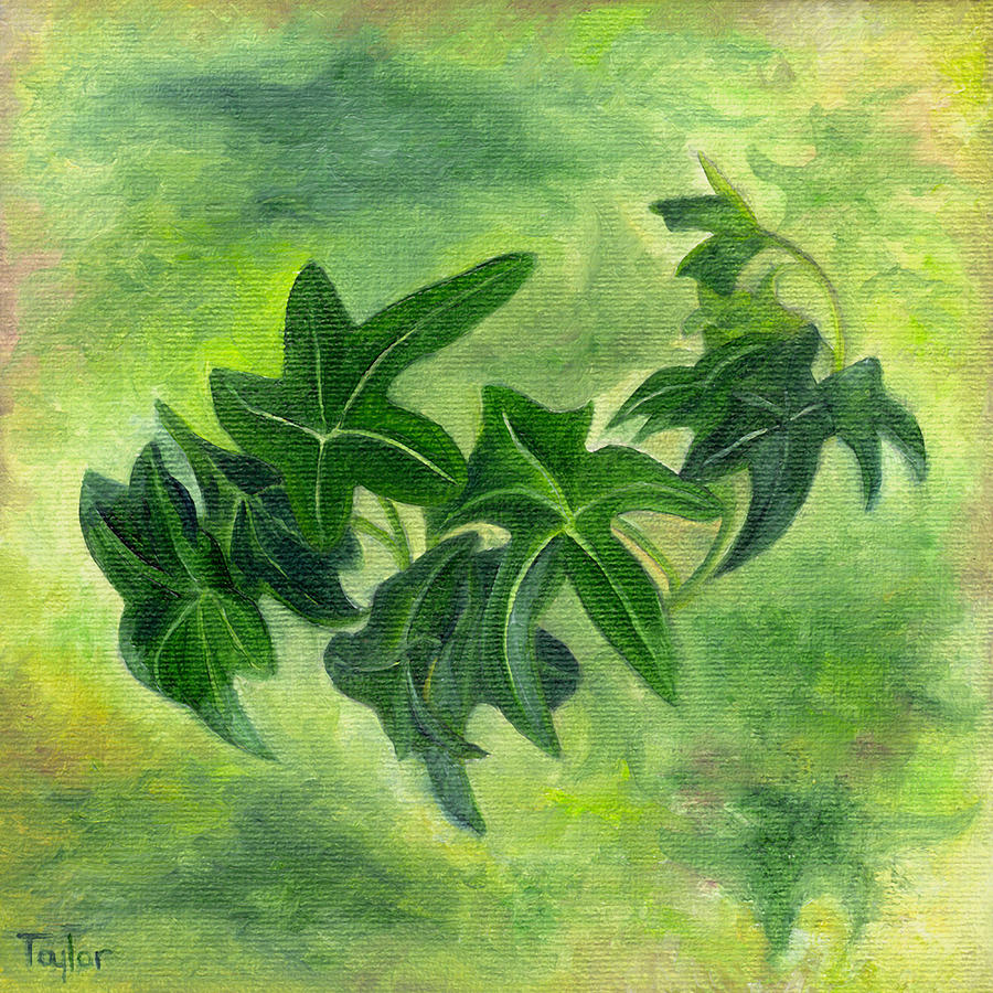 English Ivy Painting by FT McKinstry