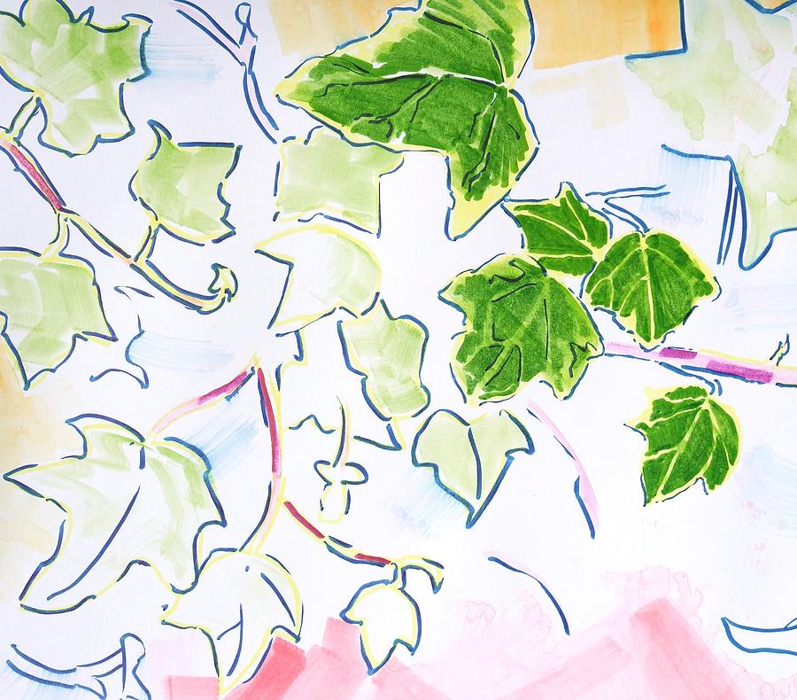 English Ivy Plant Illustration  Painting by Mike Jory
