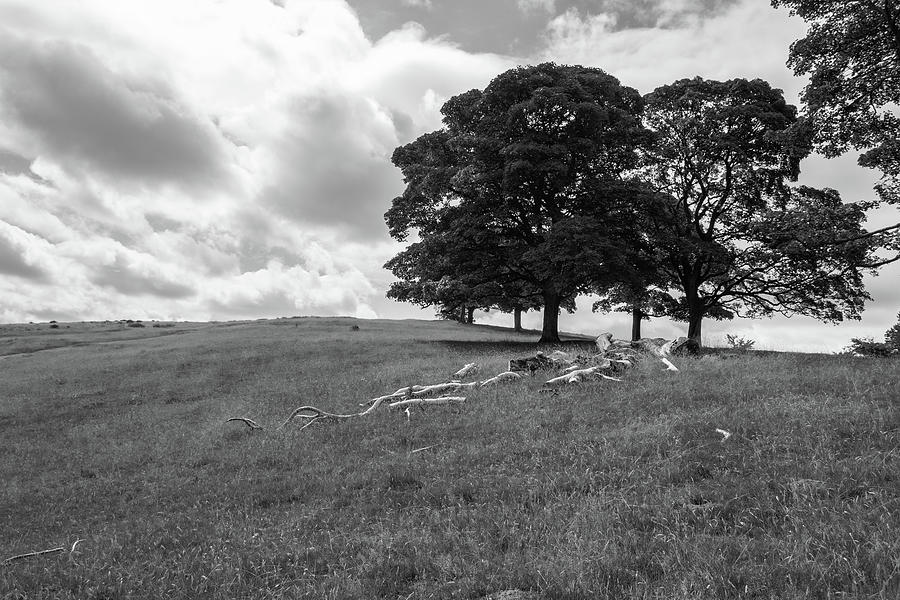 English landscape in black and white Photograph by Iordanis Pallikaras
