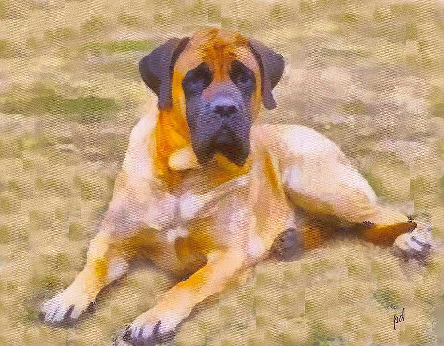 Dog Painting - English Mastif - Maury by Doggy Lips