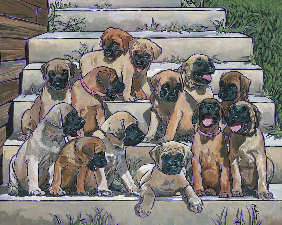 English Mastiff Puppies Painting by Nadi Spencer