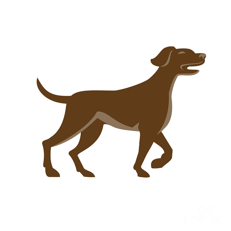 Wildlife Digital Art - English Pointer Dog Pointing Up Retro by Aloysius Patrimonio