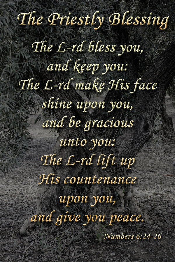 English Priestly Blessing Photograph