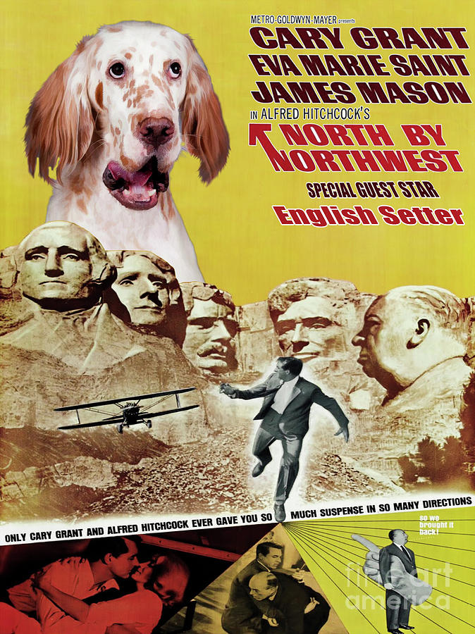 English Setter Art Canvas Print -  North By Northwest Movie Poster Painting by Sandra Sij