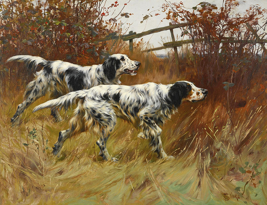 English Setters Painting by Thomas Blinks