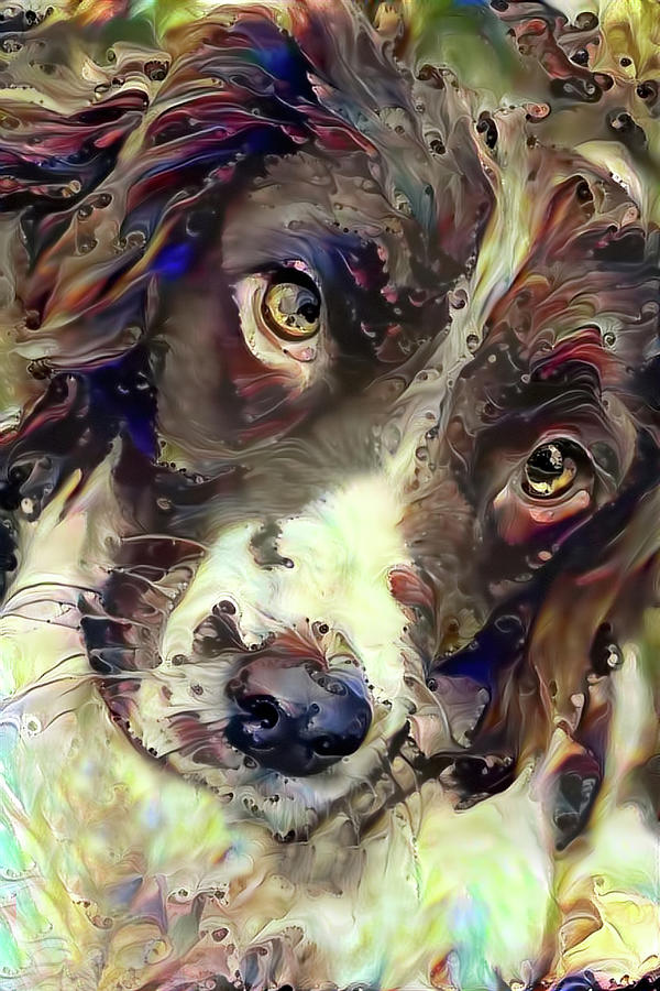 English Springer Spaniel Soulful Stare Mixed Media by Peggy Collins