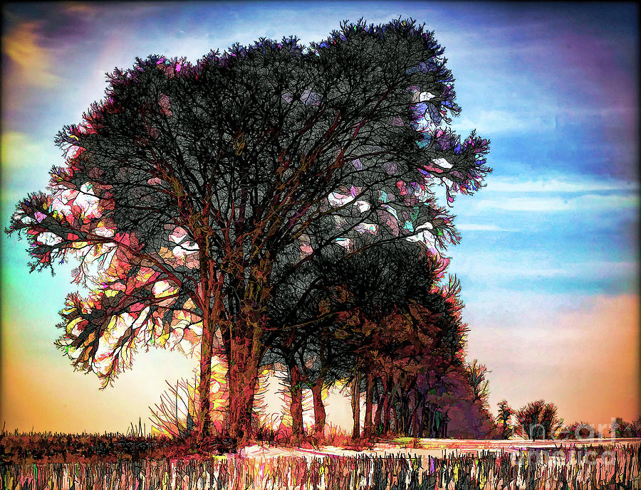 Enhanced Trees Digital  Photograph by Chuck Kuhn