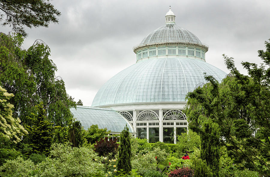 Enid Haupt Conservatory Photograph by Fran Gallogly