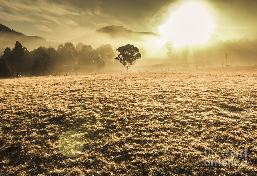 Enigmatic grassland Photograph by Jorgo Photography