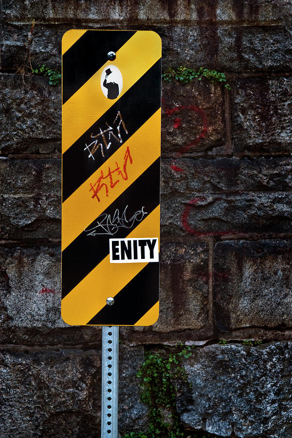 Enity Photograph by Murray Bloom