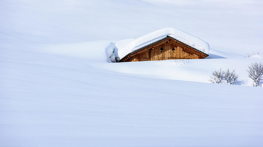 Enjoy. The dream of snow Photograph by Nicola Simeoni - Pixels