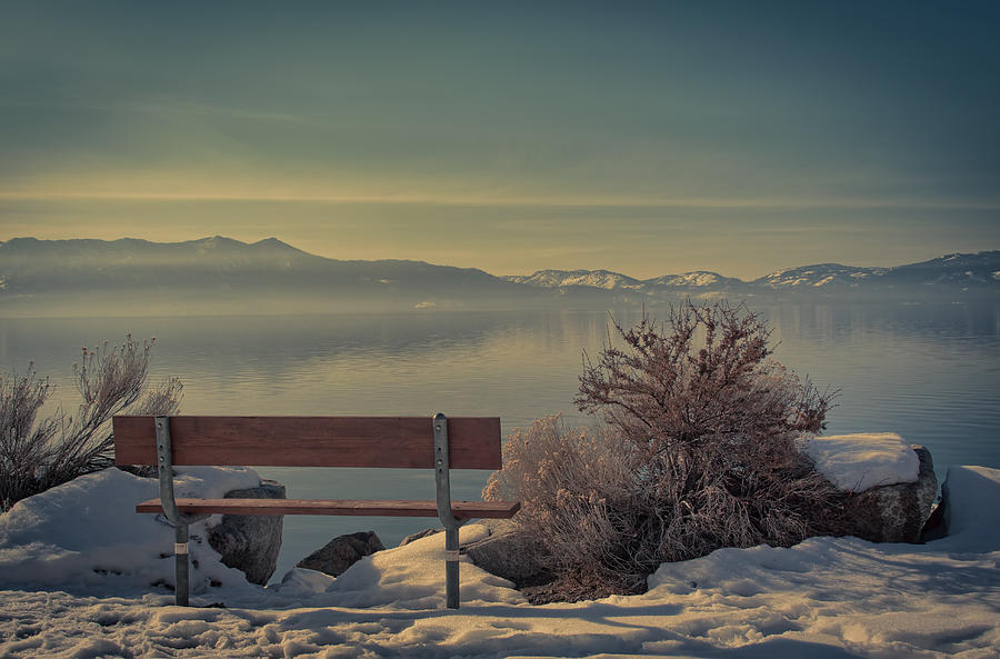 Enjoy the View - Lake Tahoe Photograph by Kim Hojnacki