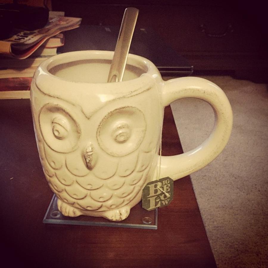 Owl Photograph - Enjoying A Nice Cup Of Green Tea In My by Jaclyn Bindus