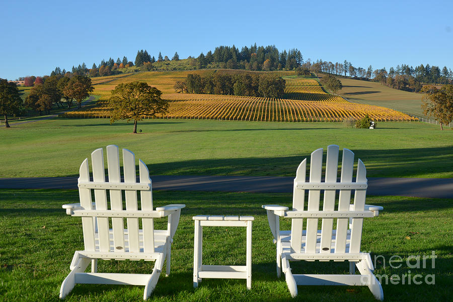 Enjoying Oregon Wine Country Photograph by Tatyana Searcy