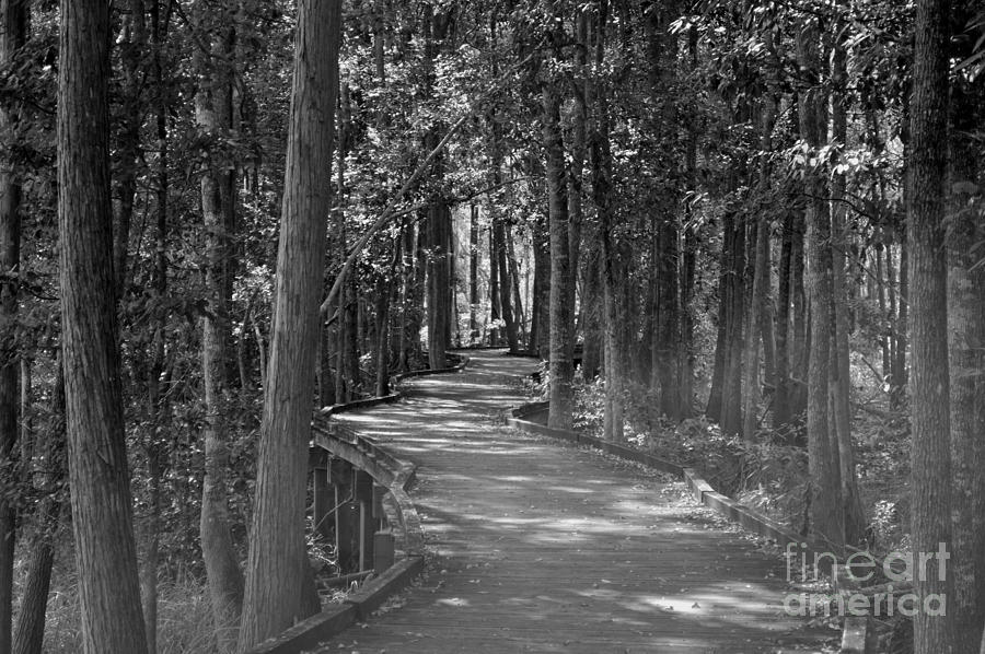 Enjoying The Boardwalk Photograph by Maria Dale - Fine Art America