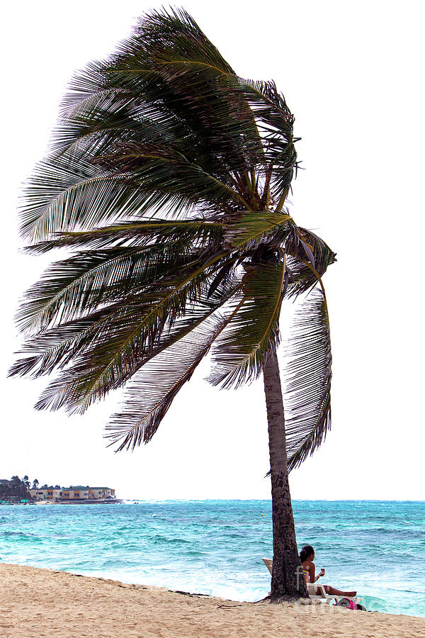 Enjoying the Caribbean Wind on San Andres Island Photograph by John Rizzuto