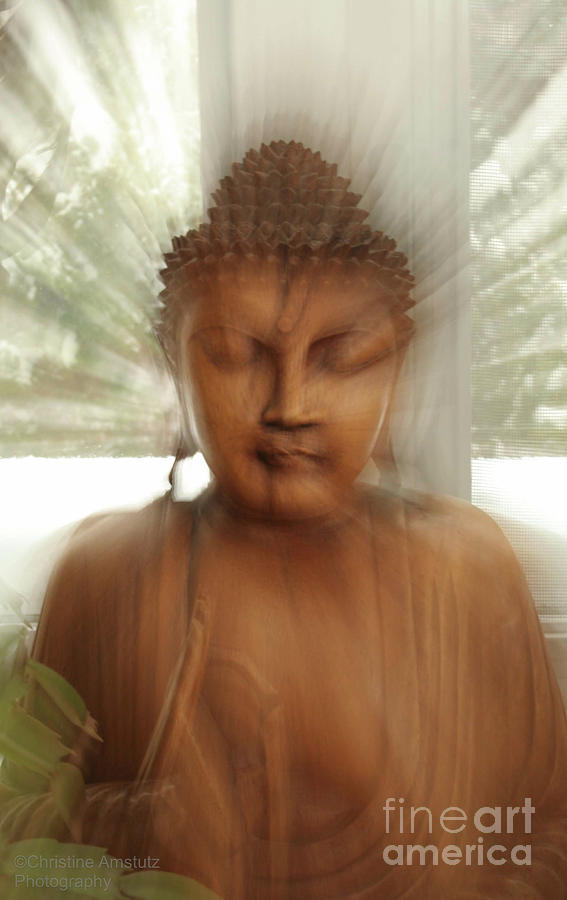 Enlightened Buddha Photograph by Christine Amstutz