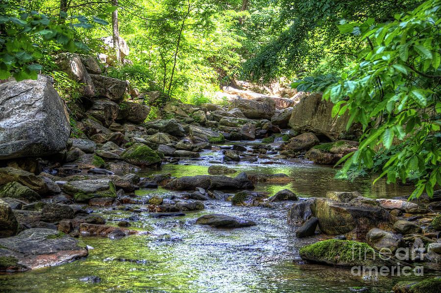 Forest Photograph - Eno River by James Foshee Forest Photograph - Eno River by James Foshee