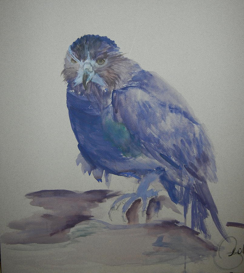 Hawk Painting - Enough by Becky Phillips
