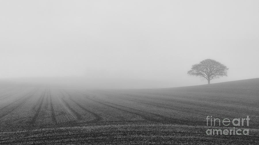 Black And White Photograph - Enshrouded by Richard Thomas