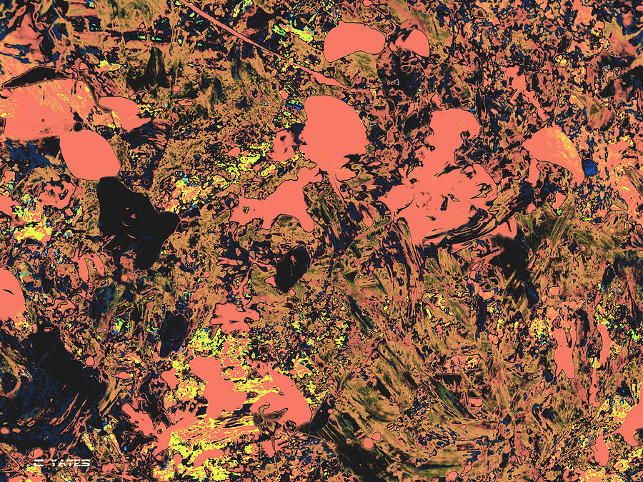 Digital Digital Art - Entanglement by Charles Yates Digital Digital Art - Entanglement by Charles Yates