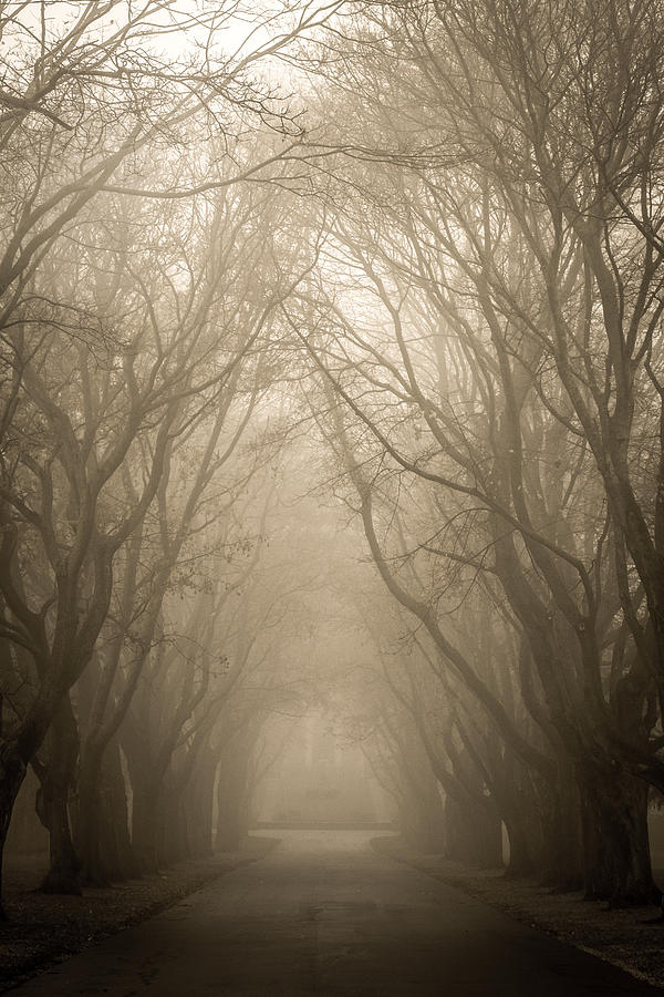 Enter here by Edward Deiro Enter here by Edward Deiro