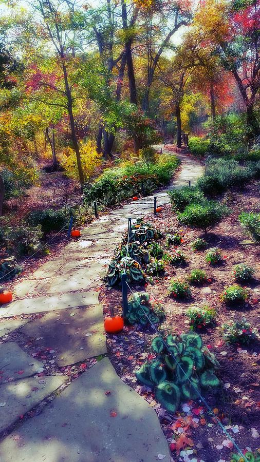 Enter the Autumn Garden Mixed Media by Stacie Siemsen