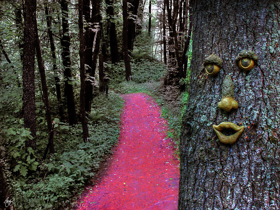Enter the Enchanted Wood Photograph by Wayne King