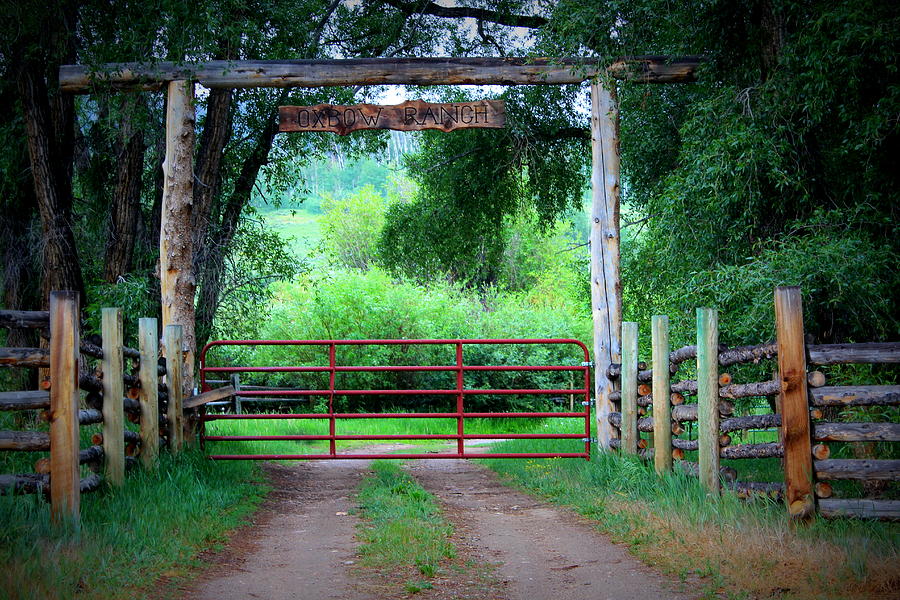 Enter Through The Red Gate Photograph by Fiona Kennard