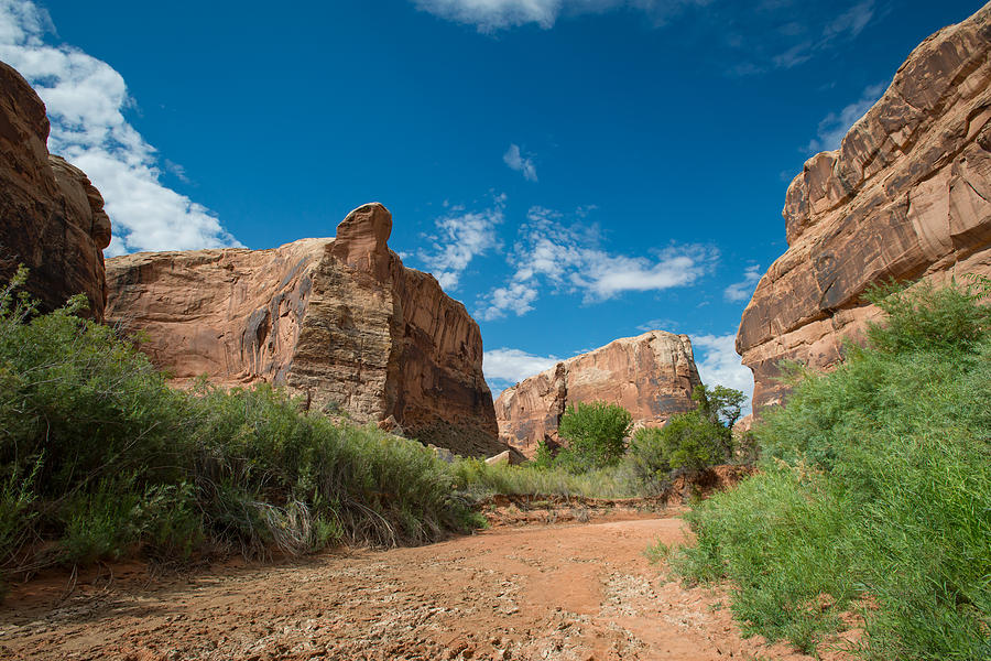 Entering The Canyon #1 Trin-Alcove Photograph by Matthew Lit | Fine Art ...