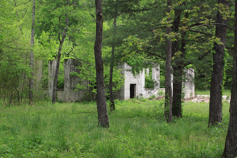 Enticing Abandoned Mill  Photograph by Karen Ruhl