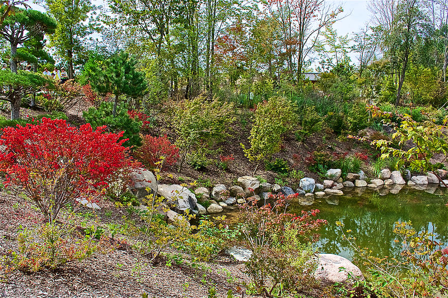 Entrance Garden Pond and Pathway in Japanese Garden