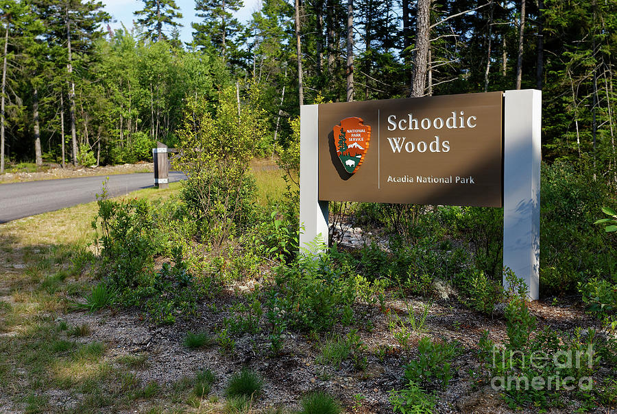Entrance sign, Schoodic Woods campground, Maine Photograph by Kevin Shields