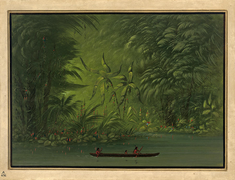 George Catlin Painting - Entrance to a Lagoon Shore of the Amazon by George Catlin