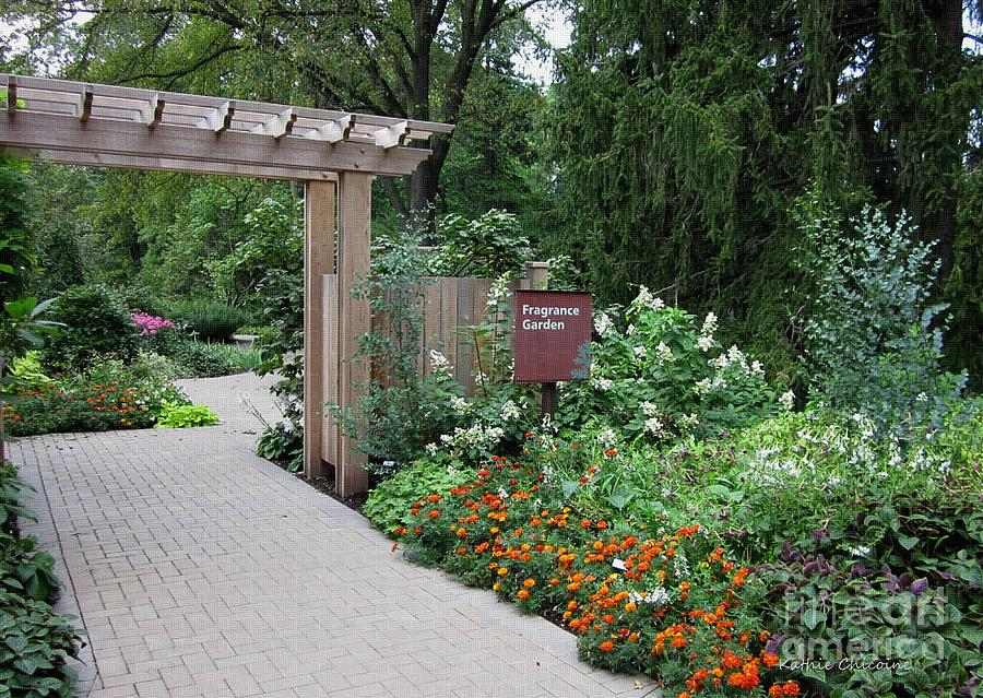 Entrance to Fragrance Garden Photograph by Kathie Chicoine