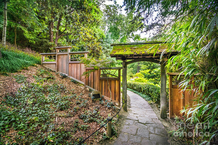 Entrance to Japanese Garden Maymont Photograph by Karen Jorstad