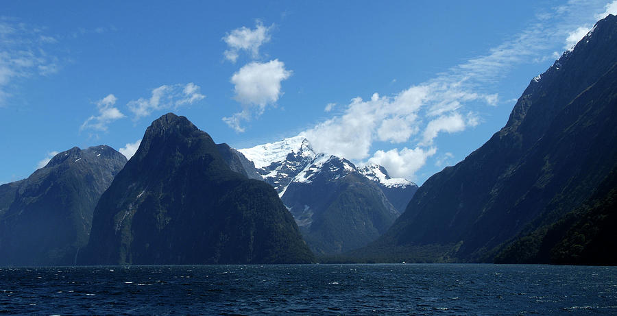 Entrance to Milford Sound Photograph by Brian Puyear - Fine Art America