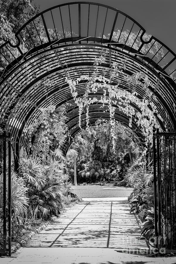 Entrance to Paradise, Black and White Photograph by Liesl Walsh