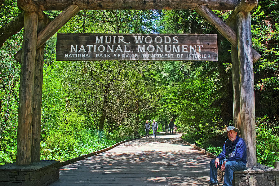 Entry to Muir Woods National Monument, California  Photograph by Ruth Hager