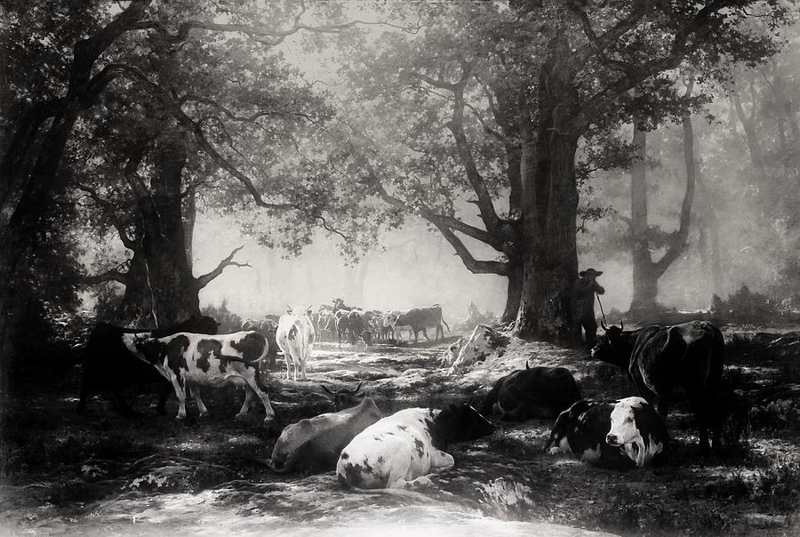 Environs Of Fontainebleau - Woodland And Cattle Painting by Mountain Dreams