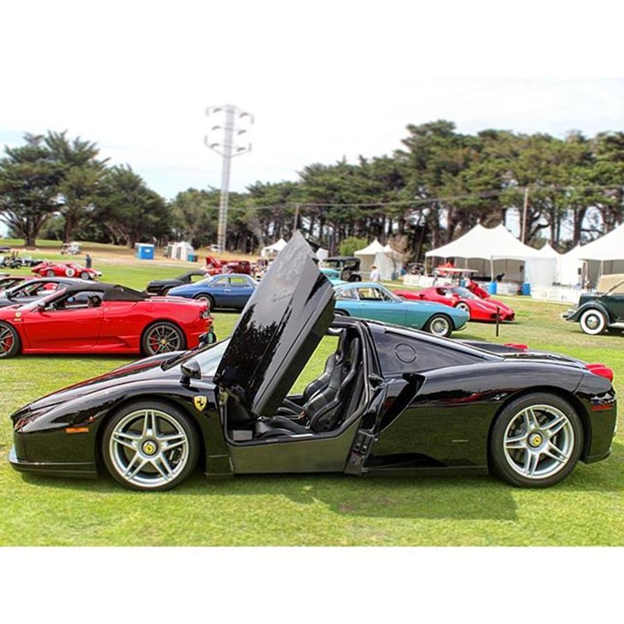 Car Photograph - Enzo Spreading Wings
#ferrari #enzo by Thrill Cars