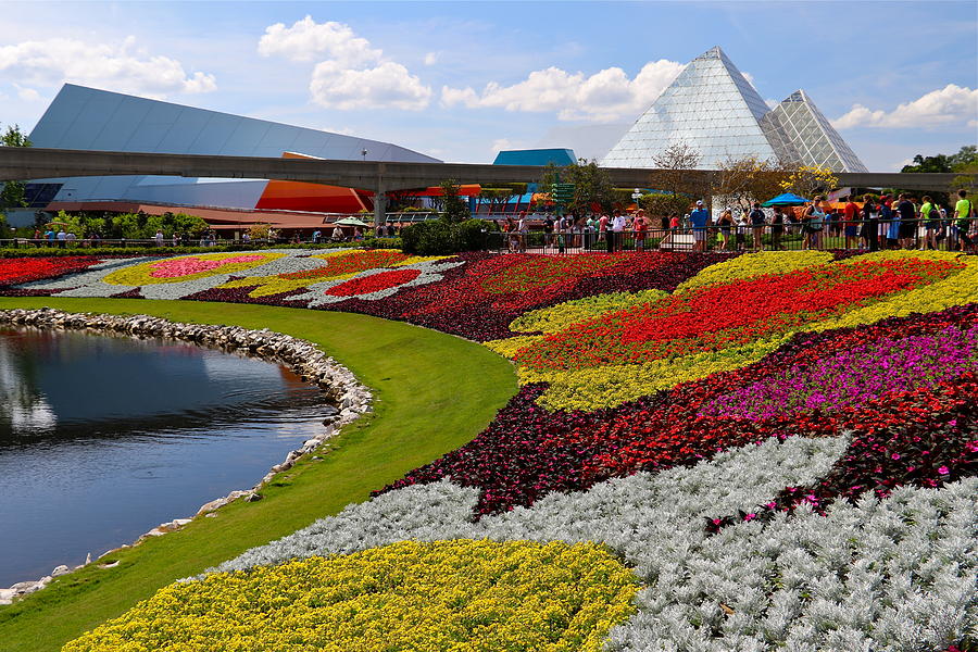 Flower Photograph - Epcot Gardens by Denise Mazzocco