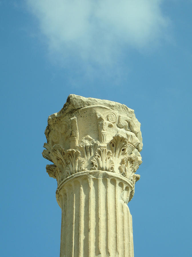 Ephesian Column Photograph By Jennifer Kelly - Fine Art America