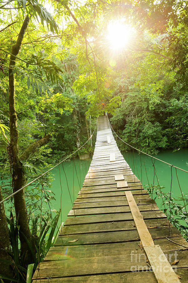 Epic Bridge Over Jungle River Photograph by THP Creative Fine Art America