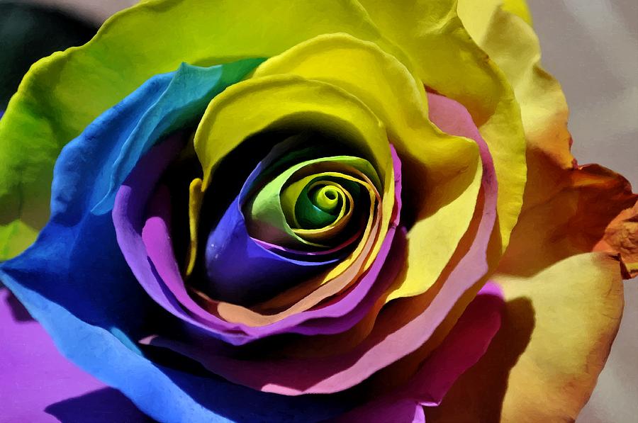 Equality Rose Digital Art