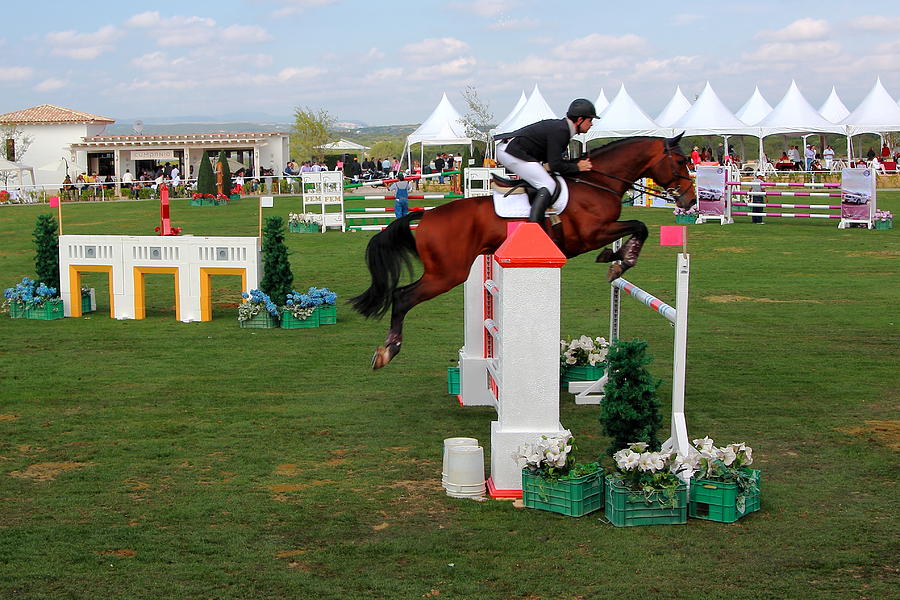 Equestrian Jumping Competition  Photograph by Robert McKinstry