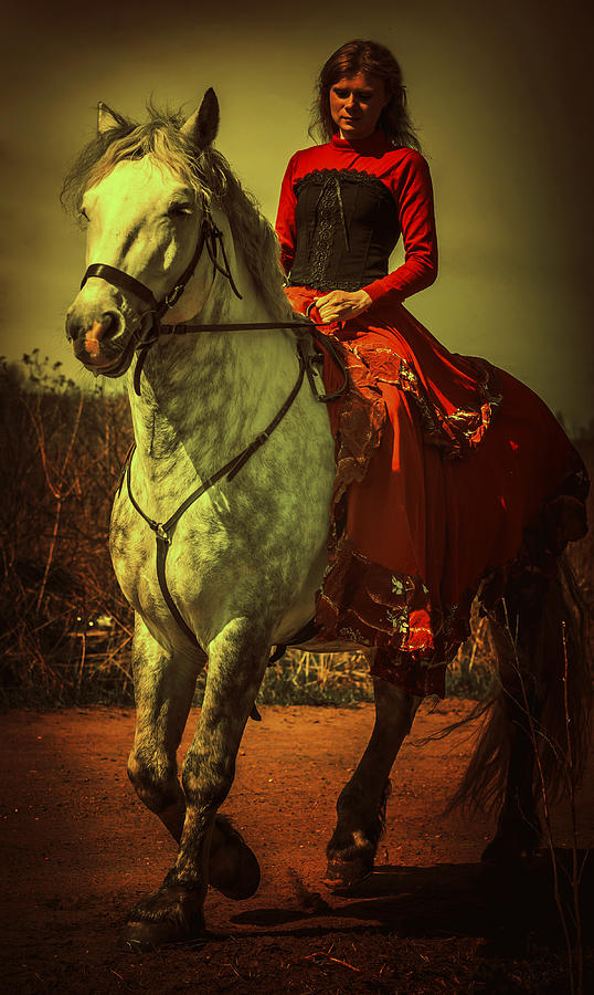 Equestrienne. Moon Light Photograph by Jenny Rainbow